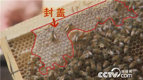 [�¸���(j��ng)]��׌ؔ���Լ��@�Mƿ���� 20181030 