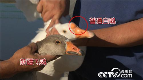 [�¸���(j��ng)]�T�R���Z ׌ؔ(c��i)���w���� 20181029 