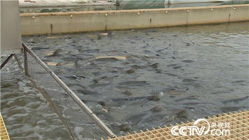 [�¸���(j��ng)]���~����&ldquo;�ܲ��C&rdquo; ����ؔ����ϡ�� 20181025 