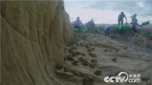 [�¸���(j��ng)]һ�K����W(w��ng)�� ��������һ�궵��600�f 20181105