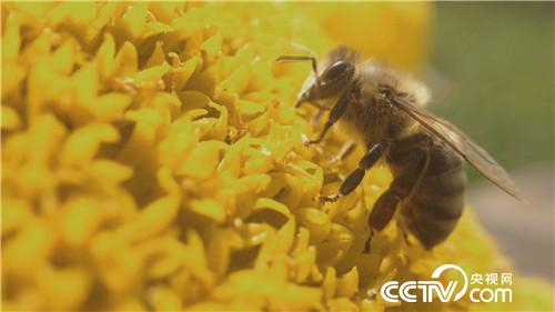 [�¸���(j��ng)]��׌ؔ���Լ��@�Mƿ���� 20181030 