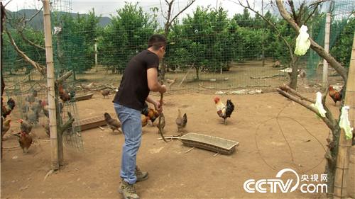 [�¸���(j��ng)]���u�������h ����ٍ��(l��i)��ǧ�f(w��n) 20181023 