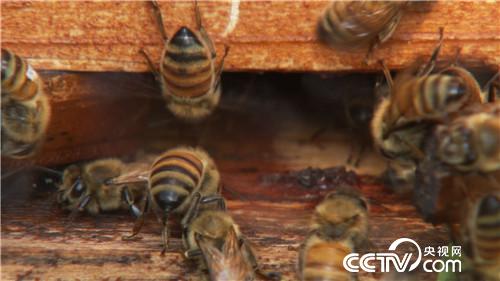 [�¸���(j��ng)]��׌ؔ���Լ��@�Mƿ���� 20181030 