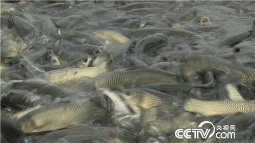 [�¸���(j��ng)]���~����&ldquo;�ܲ��C&rdquo; ����ؔ����ϡ�� 20181025 