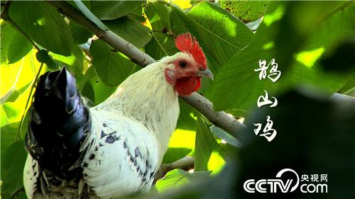 [�¸���(j��ng)]����У�L(zh��ng)�B(y��ng)�w�u һö���u9.9Ԫ 20181107