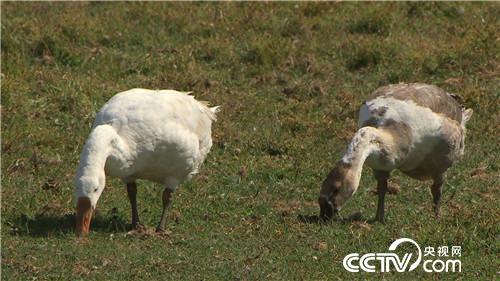 [�¸���(j��ng)]�T�R���Z ׌ؔ(c��i)���w���� 20181029 