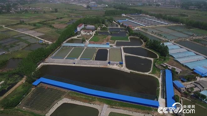 �¸���(j��ng)