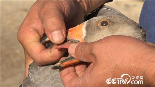 [�¸���(j��ng)]�T�R���Z ׌ؔ(c��i)���w���� 20181029 