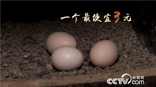 [�¸���(j��ng)]����У�L(zh��ng)�B(y��ng)�w�u һö���u9.9Ԫ 20181107