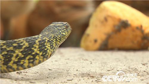 [�¸���(j��ng)]���Hһ��Ԓ Т��ǧ�fؔ 20181024 