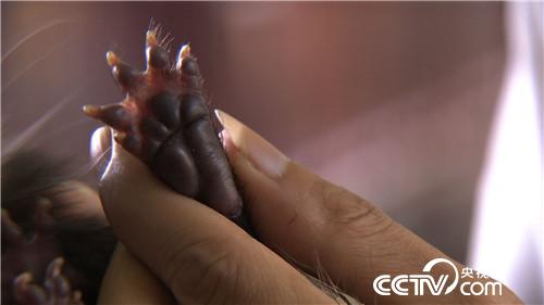 ���̃�������ٍ��(l��i)ǧ�f(w��n)ؔ(c��i)