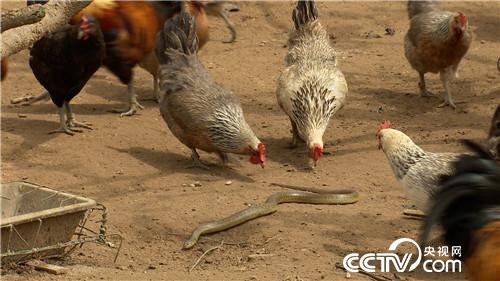 [�¸���(j��ng)]���u�������h ����ٍ��(l��i)��ǧ�f(w��n) 20181023 