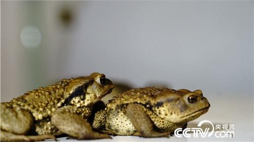 [�¸���(j��ng)]���Hһ��Ԓ Т��ǧ�fؔ 20181024 