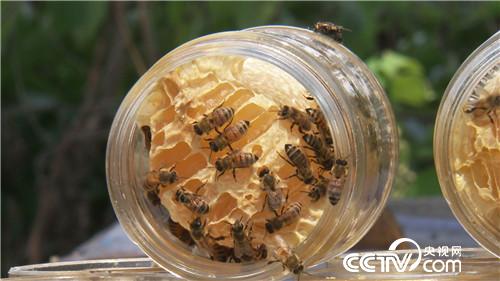 [�¸���(j��ng)]��׌ؔ���Լ��@�Mƿ���� 20181030 