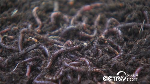 [�¸���(j��ng)]���Hһ��Ԓ Т��ǧ�fؔ 20181024 