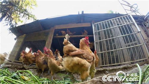 [�¸���(j��ng)]�s�u�Ϙ�(sh��) ���r�X(qi��n)��������������800�f(w��n) 20181120 