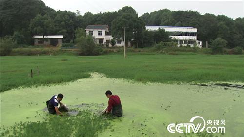 �¸���(j��ng)��ˮ����Ư����ؔ��(20171120)