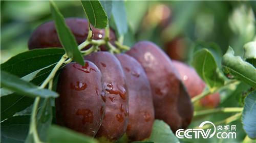 [�¸���(j��ng)]�����^�l(f��) �t��ؔ(c��i)�� �����Sɳ׃�S�� 20181119 