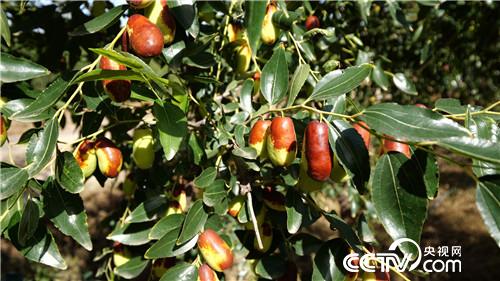 [�¸���(j��ng)]�����^�l(f��) �t��ؔ(c��i)�� �����Sɳ׃�S�� 20181119 