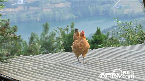 [�¸���(j��ng)]�s�u�Ϙ�(sh��) ���r�X(qi��n)��������������800�f(w��n) 20181120 