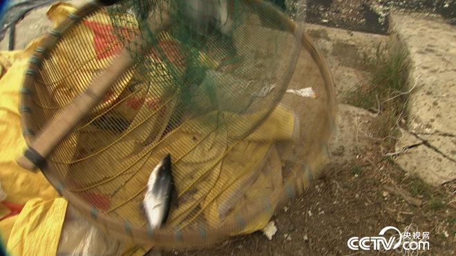 �¸���(j��ng)