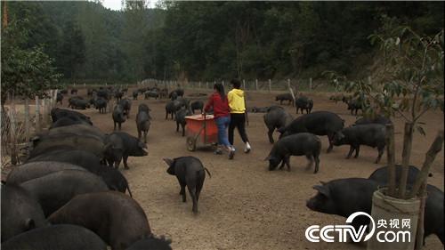 [�¸���(j��ng)]90����û������B(y��ng)���i һ�^���u2000��Ԫ 20181113 