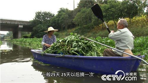 �¸���(j��ng)��ˮ����Ư����ؔ��(20171120)