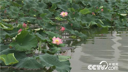 �¸���(j��ng)��ˮ����Ư����ؔ��(20171120)