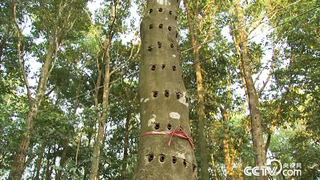 �¸���(j��ng)