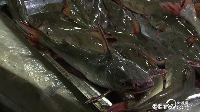 �¸���(j��ng)