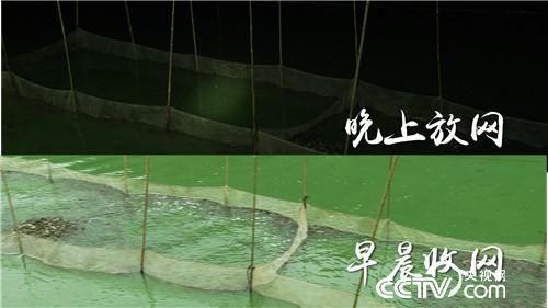 [�¸���(j��ng)]2�fԪ2���� �����[����ӭ��ǧ�fؔ(c��i) 20181121 