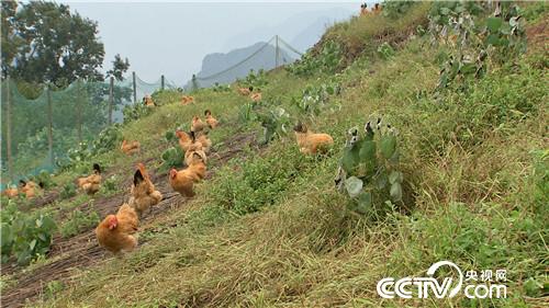 [�¸���(j��ng)]�s�u�Ϙ�(sh��) ���r�X(qi��n)��������������800�f(w��n) 20181120 