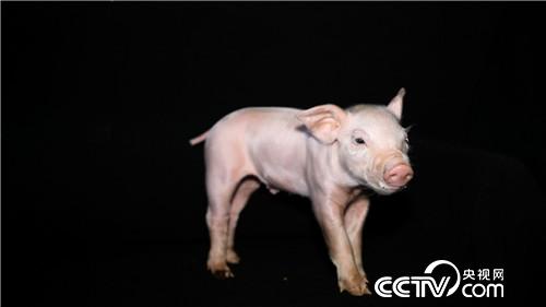 ��Ů�ώ��옷�B(y��ng)�i һ�^���u3000��Ԫ