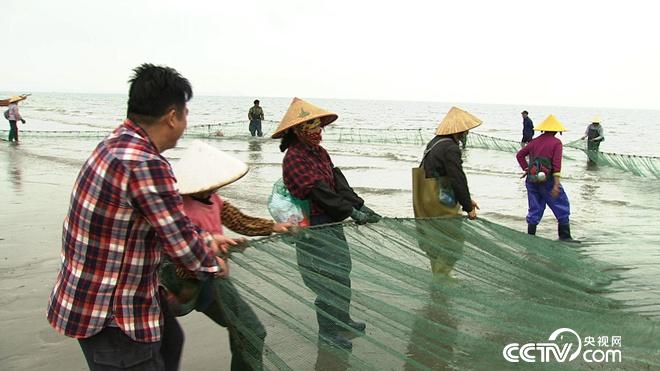 �¸���(j��ng)