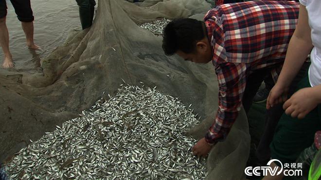 �¸���(j��ng)