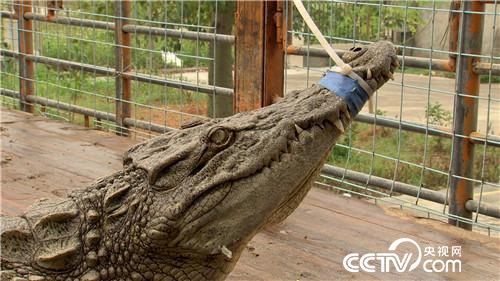 [�¸���(j��ng)]ꑵ�ˮ�ﶼٍ�X(qi��n) �ɂ�(g��)�a(ch��n)�I(y��) 3�|ؔ(c��i)�� 20181115 