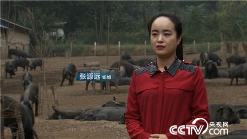 [�¸���(j��ng)]90����û������B(y��ng)���i һ�^���u2000��Ԫ 20181113 