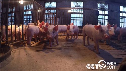 ��Ů�ώ��옷�B(y��ng)�i һ�^���u3000��Ԫ