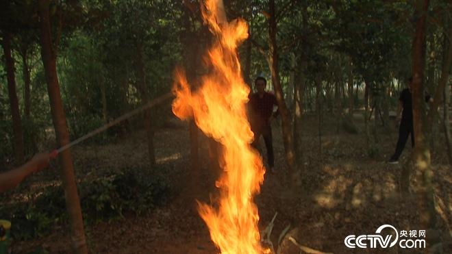 �¸���(j��ng)