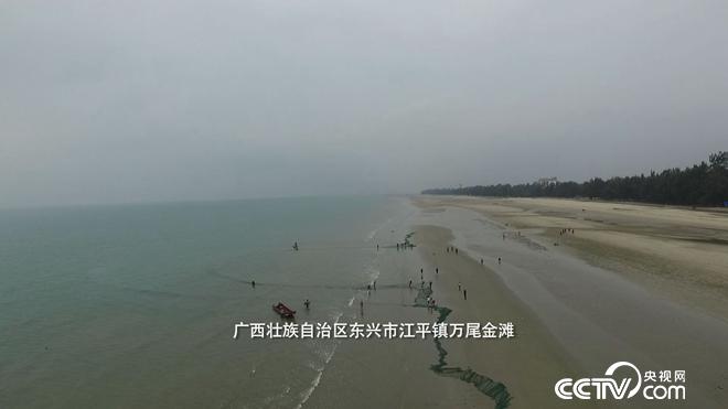 �¸���(j��ng)