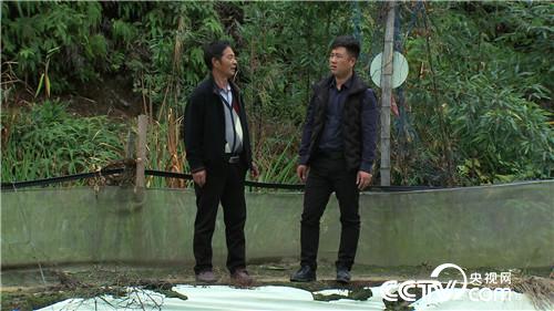 [�¸���(j��ng)]2�fԪ2���� �����[����ӭ��ǧ�fؔ(c��i) 20181121 