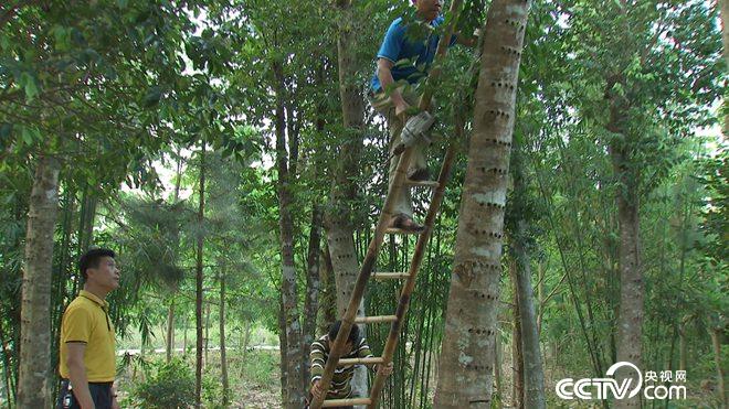 �¸���(j��ng)