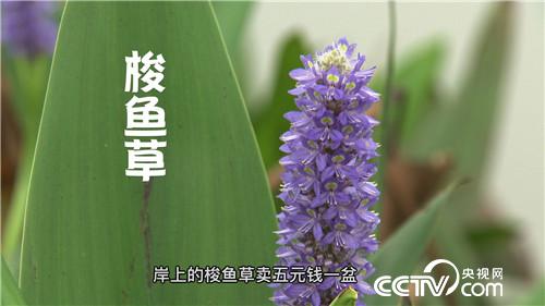 �¸���(j��ng)��ˮ����Ư����ؔ��(20171120)