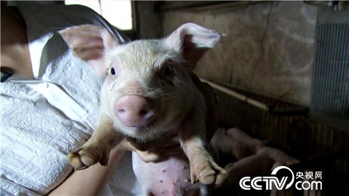 ��Ů�ώ��옷�B(y��ng)�i һ�^���u3000��Ԫ