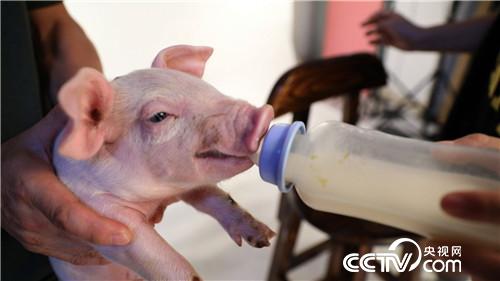 ��Ů�ώ��옷�B(y��ng)�i һ�^���u3000��Ԫ