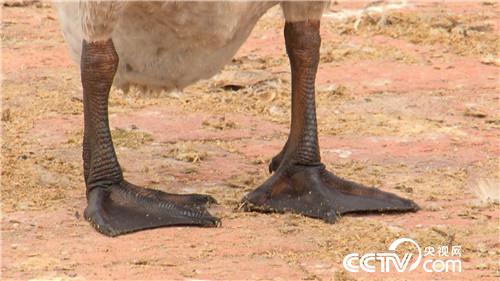 [�¸���(j��ng)]ꑵ�ˮ�ﶼٍ�X(qi��n) �ɂ�(g��)�a(ch��n)�I(y��) 3�|ؔ(c��i)�� 20181115 