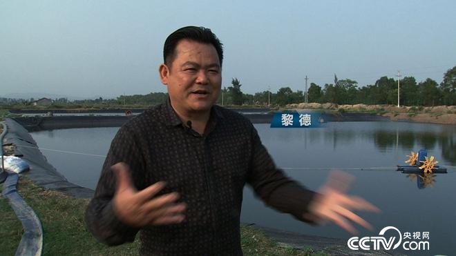 �¸���(j��ng)