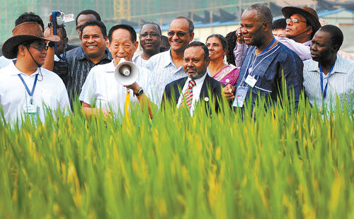 “雜交水稻之父”袁隆平:稻田里的拓荒者