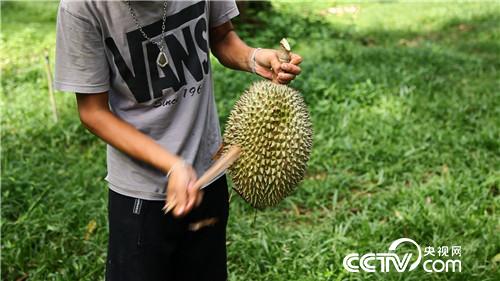 [�¸���(j��ng)]�ع��� �Ї��������Є�(d��ng) 20181130 