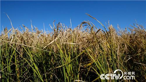 [�¸���(j��ng)]ؔ���N��ʯ�^�� ��С�ﱿ��ٍ���X 20181204 